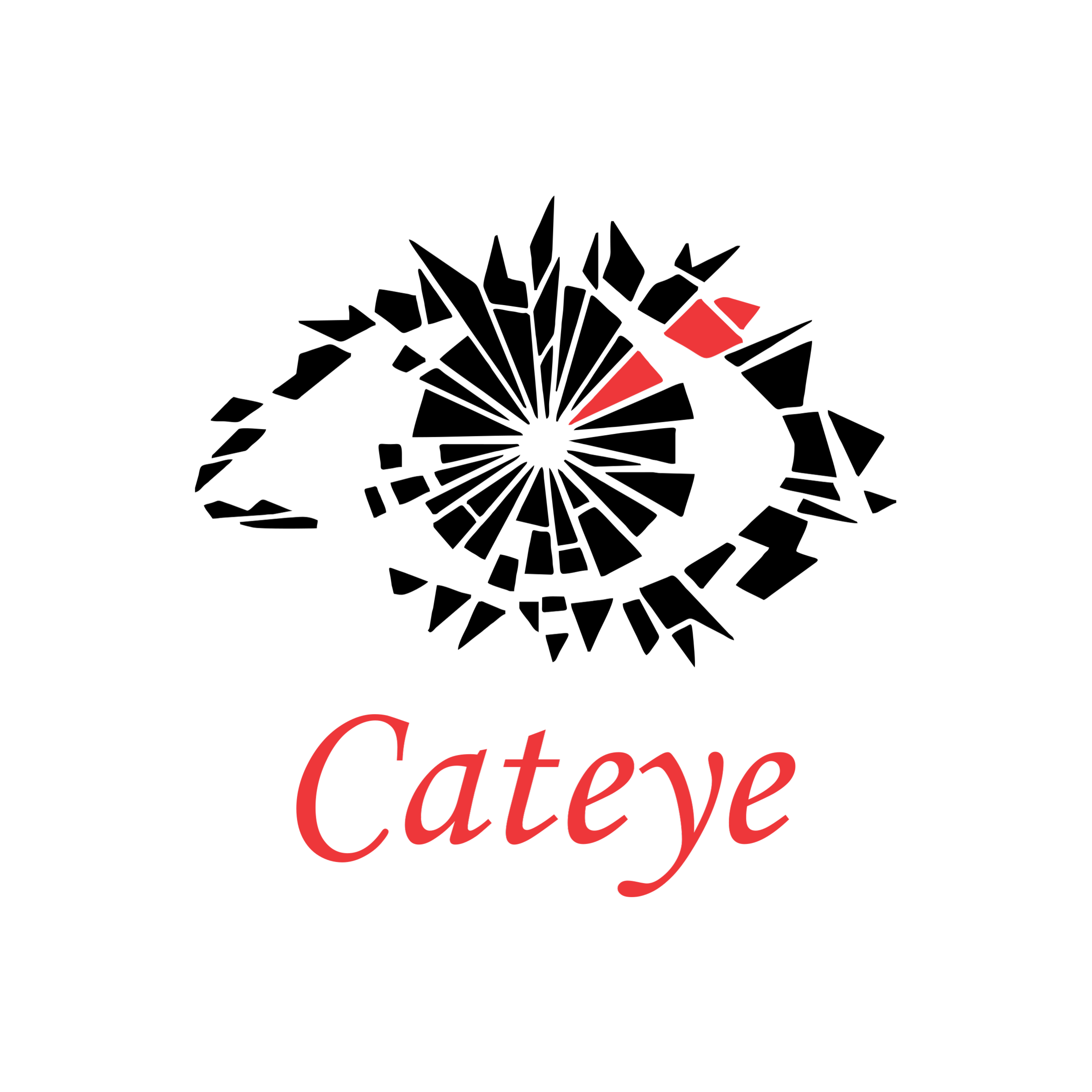 Cateye Financial Services